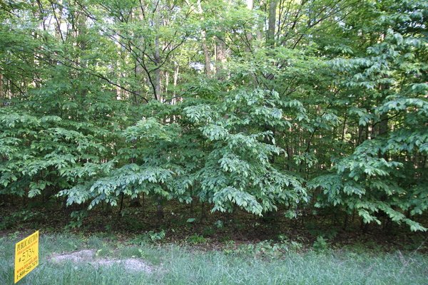 Lot 5734