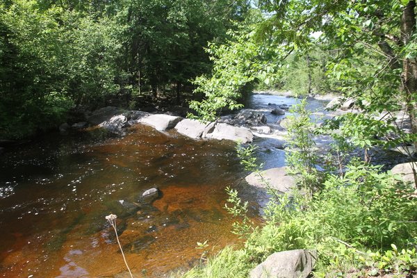 Lot 602