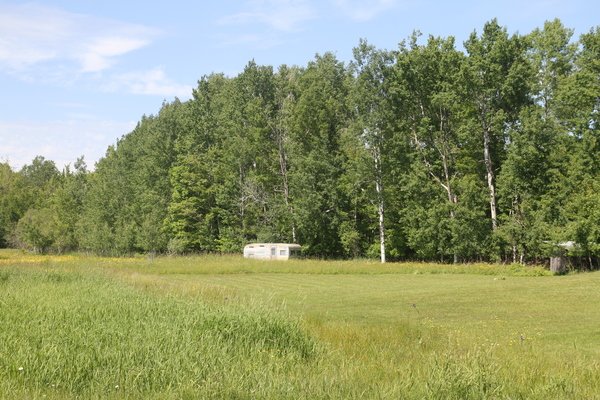 Lot 603
