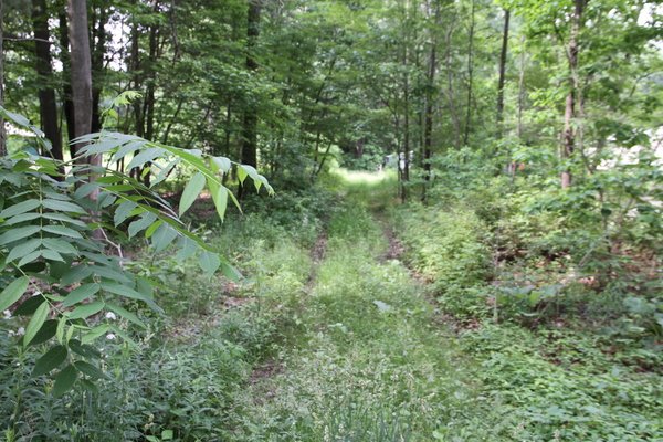 Lot 5907
