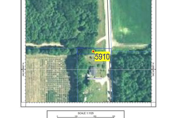 Lot 5917