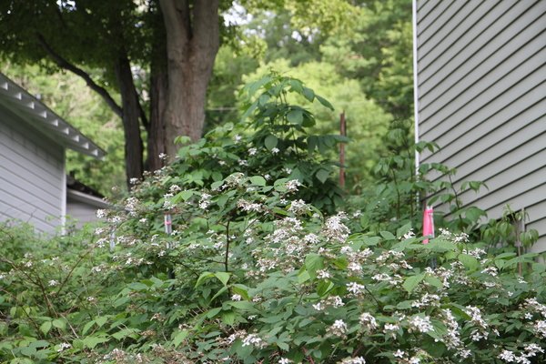Lot 5914