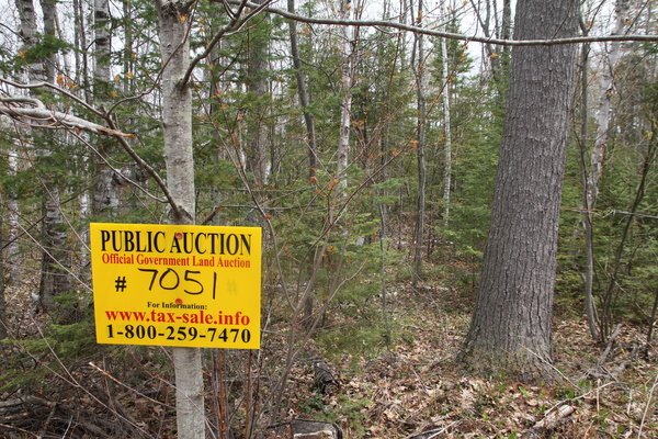 Lot 7051
