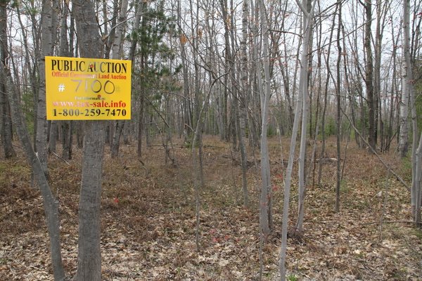 Lot 7100