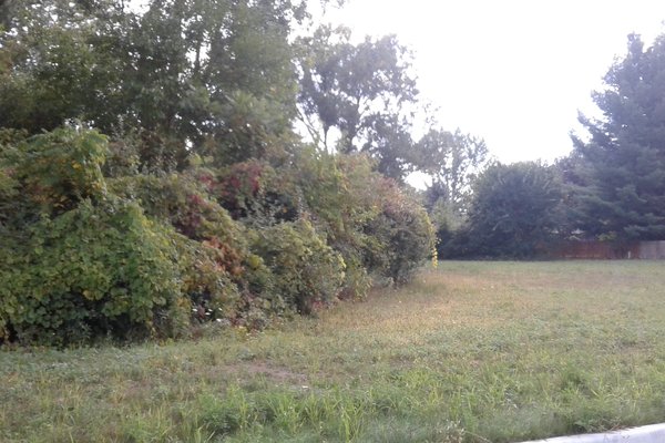 Lot 7720