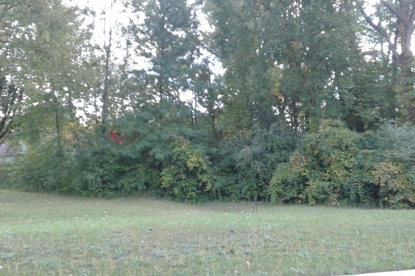 Lot 7722