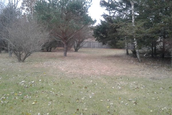 Lot 7808
