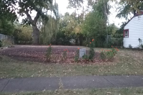 Lot 7969