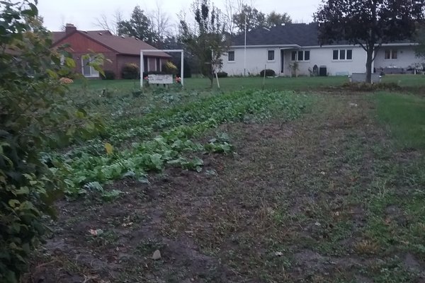 Lot 7973