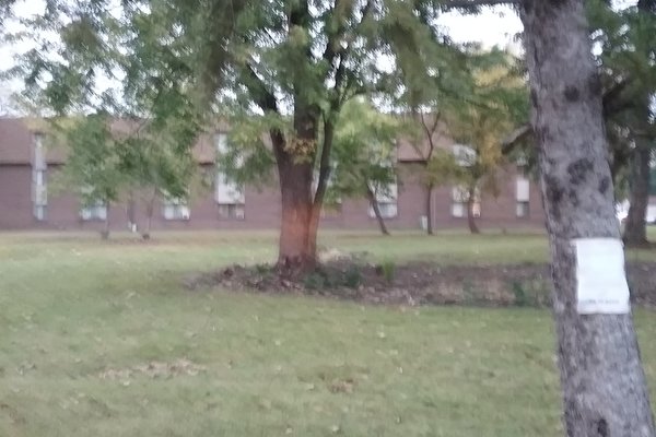 Lot 7985