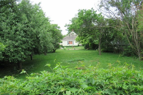 Lot 6115