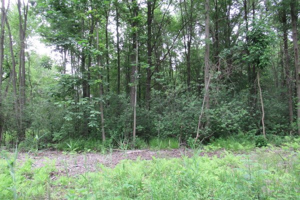 Lot 6120