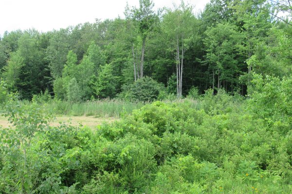 Lot 6161