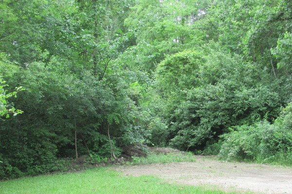 Lot 6134
