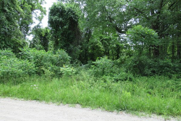Lot 6142