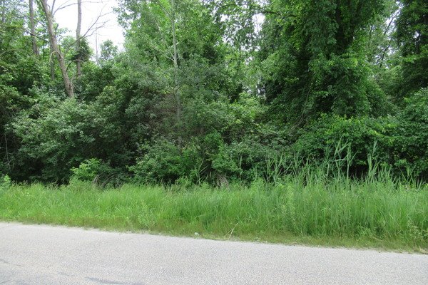 Lot 6145