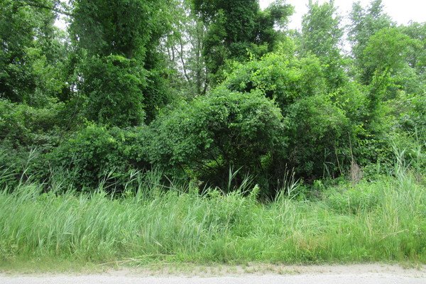 Lot 6146