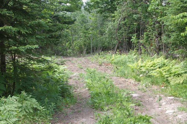 Lot 6300