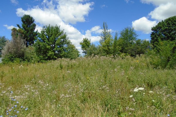 Lot 6406