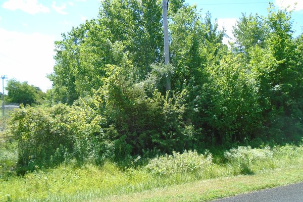 Lot 6413