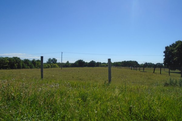 Lot 6420
