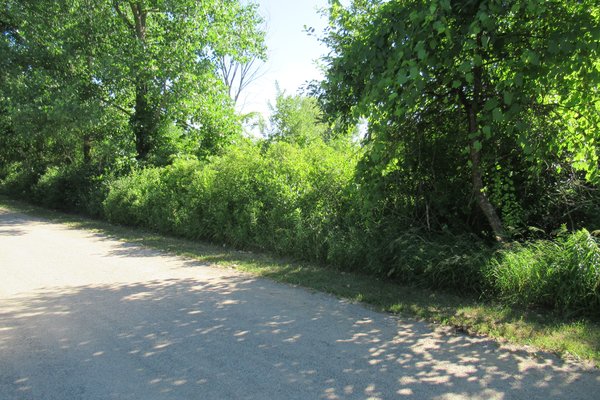 Lot 6525
