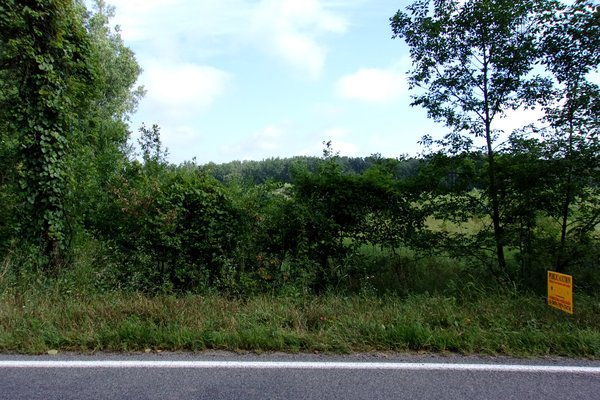Lot 701
