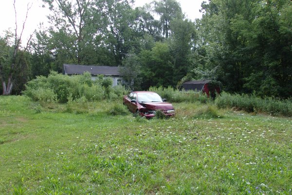 Lot 703