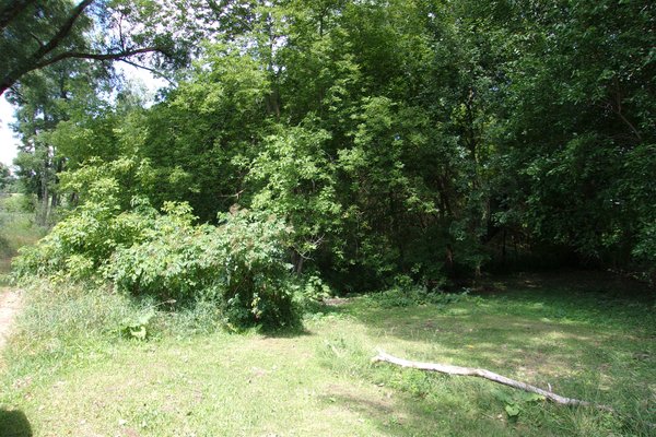 Lot 708