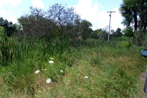 Lot 711