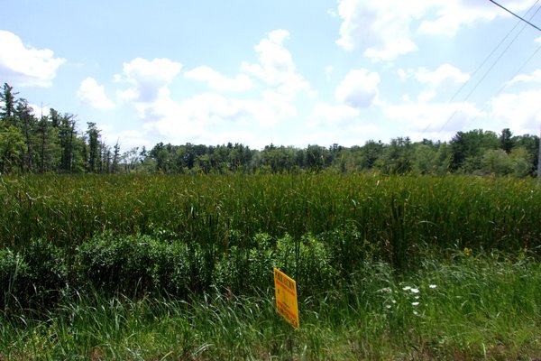 Lot 716