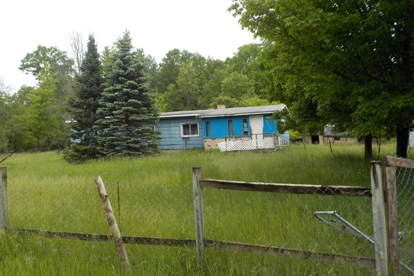 Lot 703
