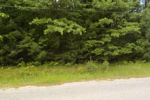 Lot 711