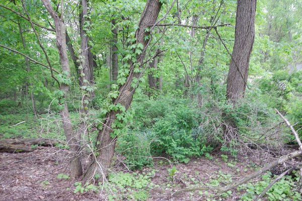 Lot 6222