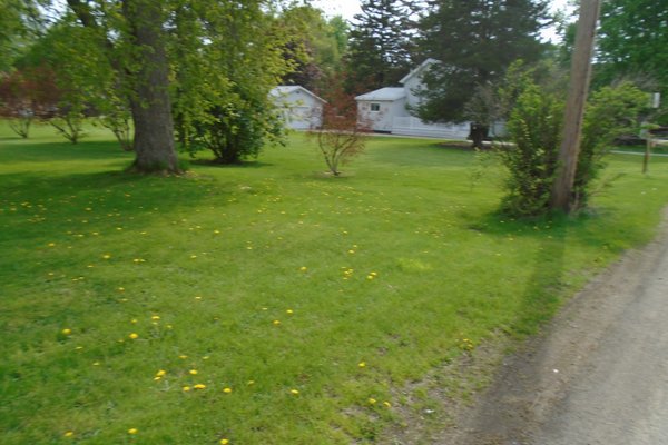 Lot 6441